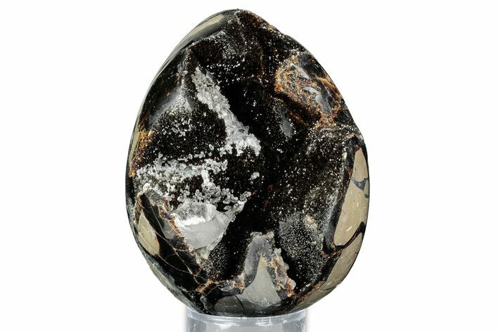 Septarian Dragon Egg Geode - Sparkly Black Crystals #336452